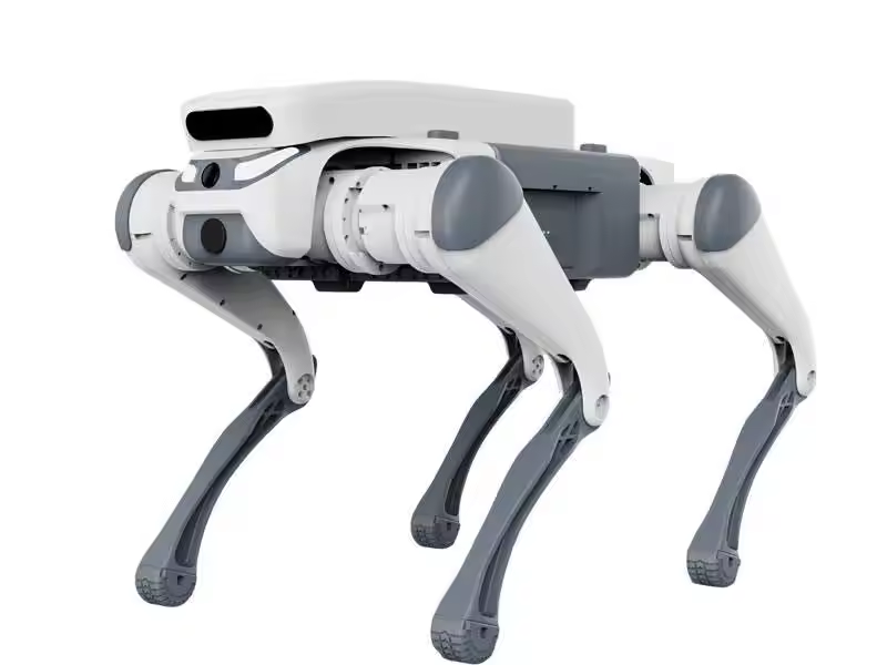 Jouet éducatif télécommandé po - Educational Toys avis et prix