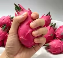 Jouet Squishy en Blocs de Cons - Building Blocks avis et prix