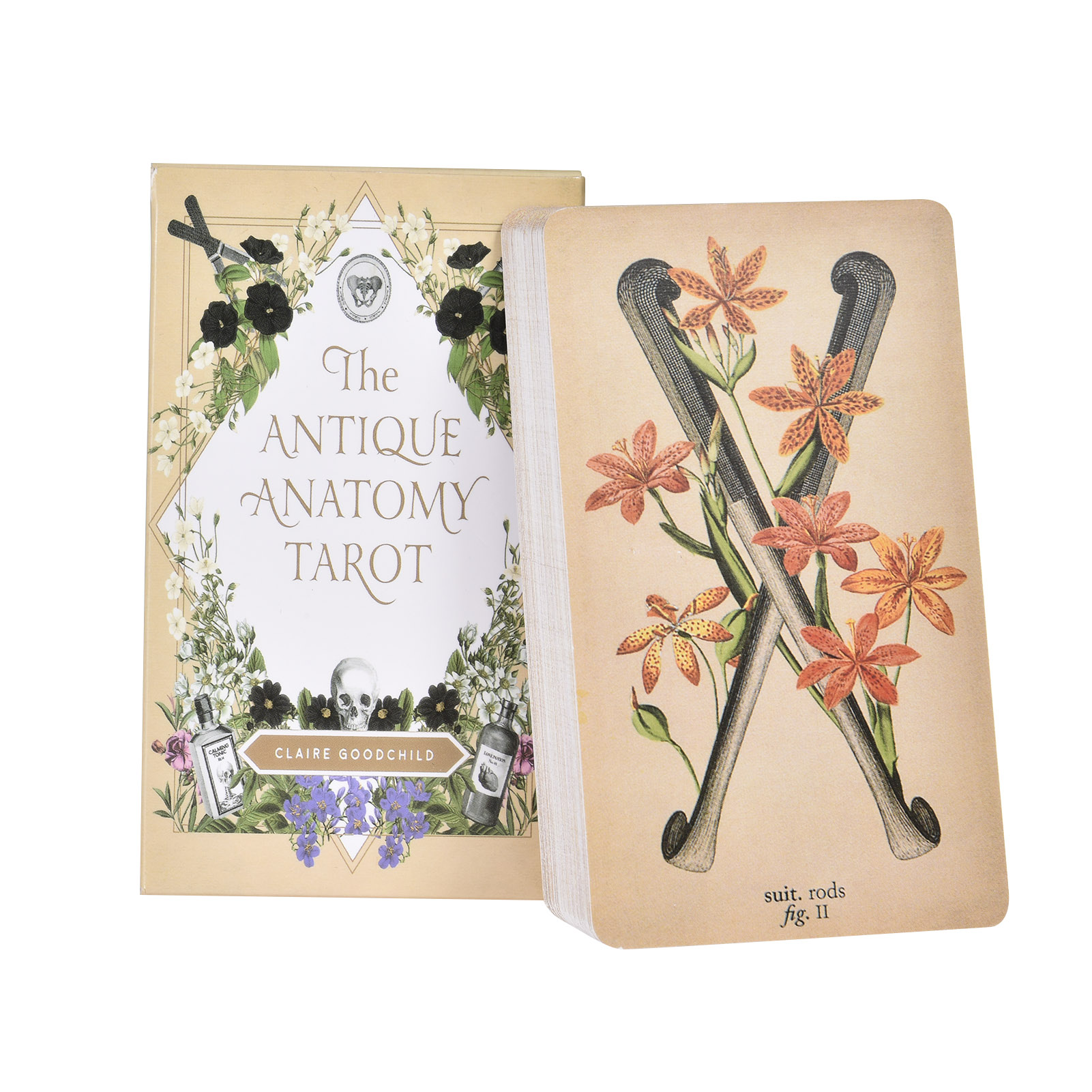 Les Cartes de Tarot « Anatomy  - Tarot Cards Deck With Guidebook avis et prix