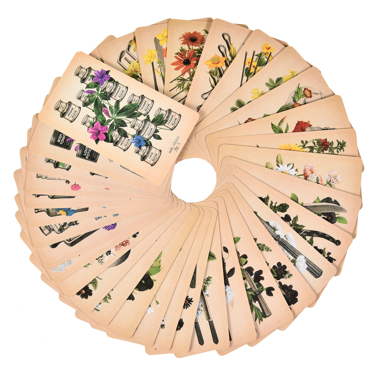 Les Cartes de Tarot « Anatomy  - Tarot Cards Deck With Guidebook avis et prix